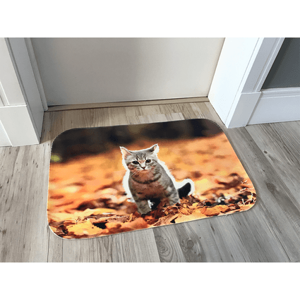 tapete transfer 40x60 cat tp67